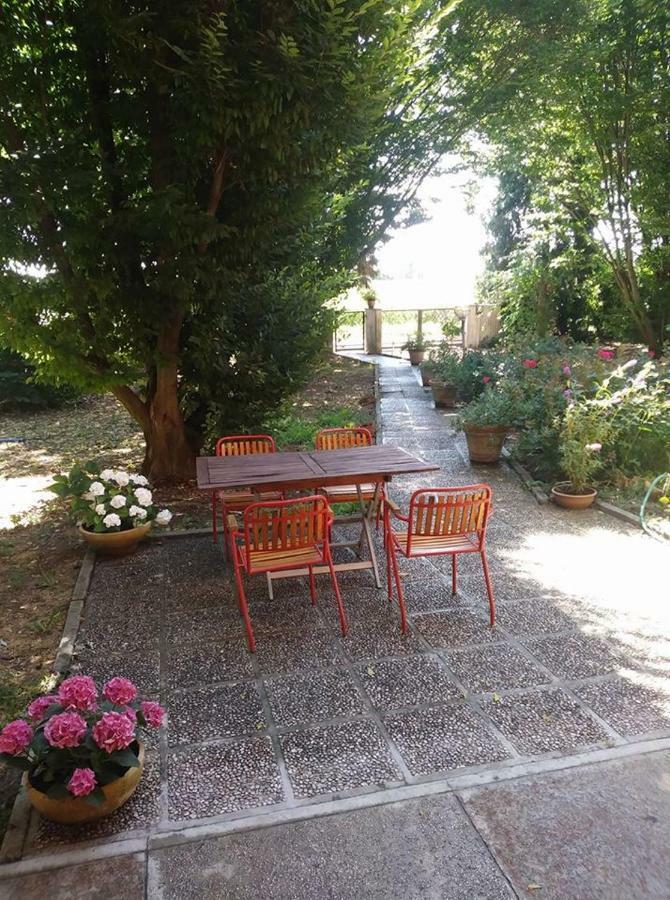 Gambisa Street Hotel Soliera Екстериор снимка