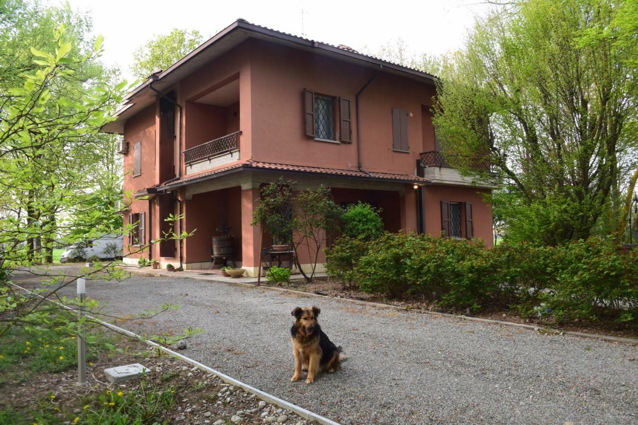 Gambisa Street Hotel Soliera Екстериор снимка